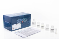 27300 Fungi/Yeast Genomic DNA Isolation Kit ( 50 rxn )